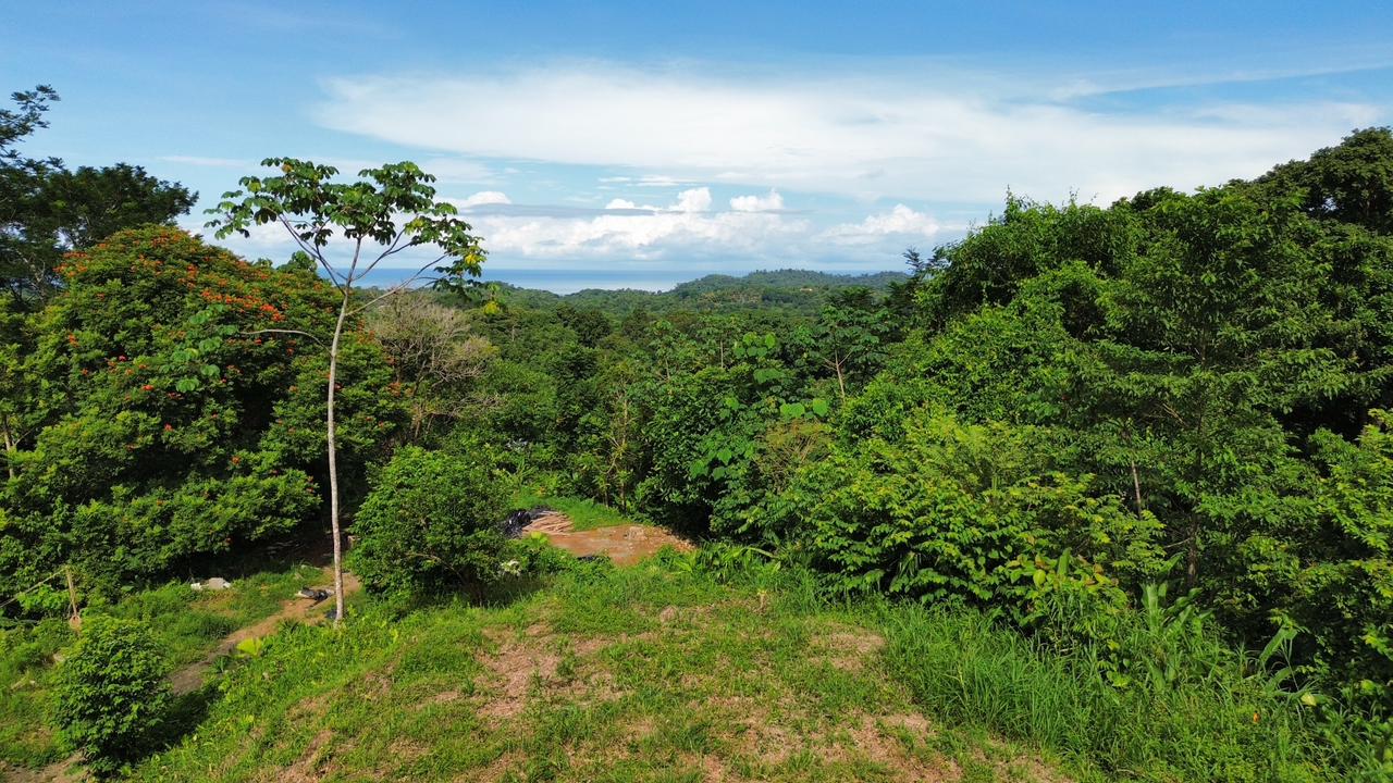 Expansive 1.74 Acre OCEAN VIEW lot w/2 large building sites