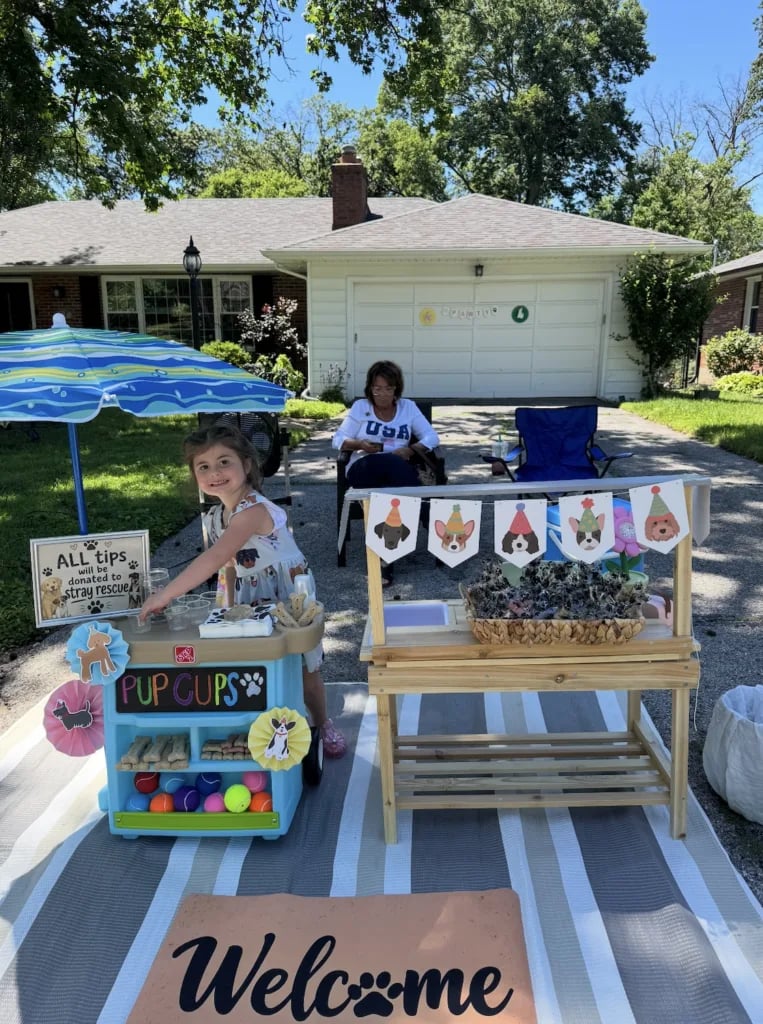 St. Louis preschooler raises hundreds of dollars for Stray Rescue