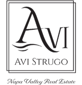 avi strugo dark logo