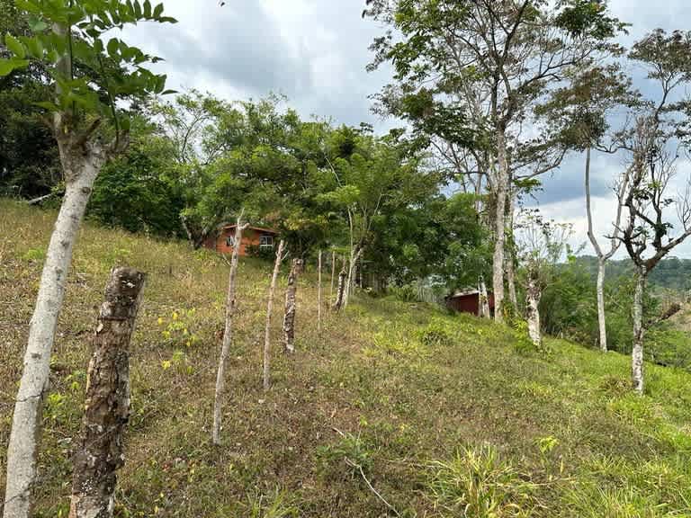 Buena Vista Land | Mountain Home Construction Site For Sale in Bijagua