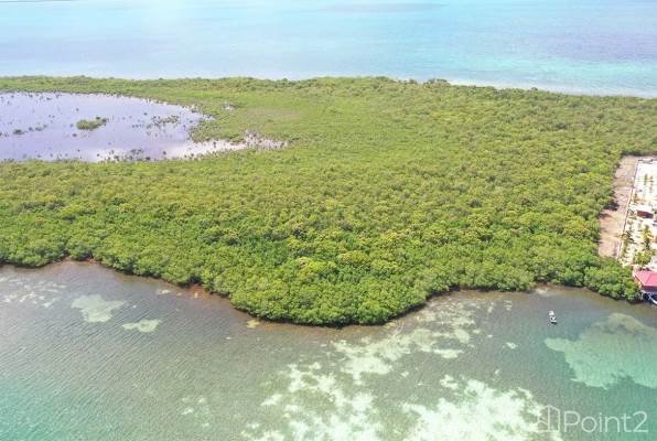 2-acre Slice of Island Paradise on North End of Cross Caye Belize