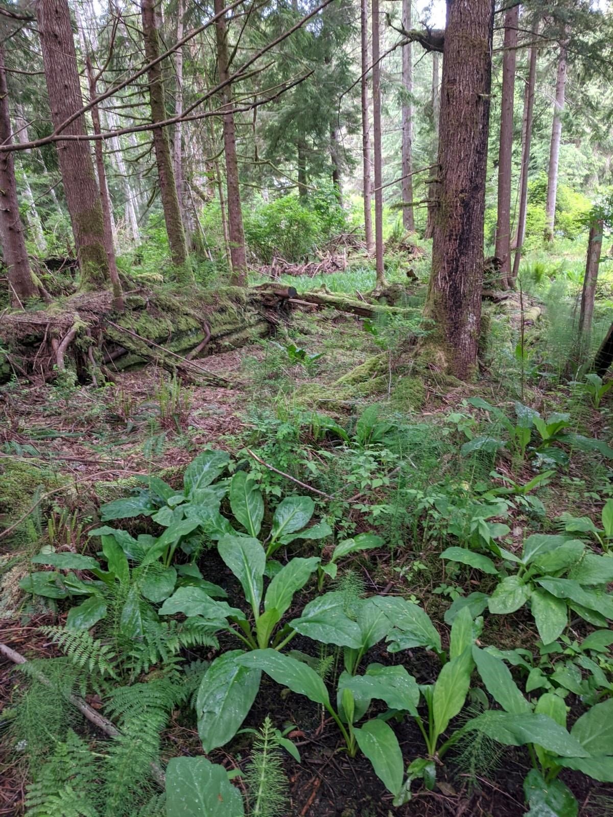 Lot 62 West Bay Rd