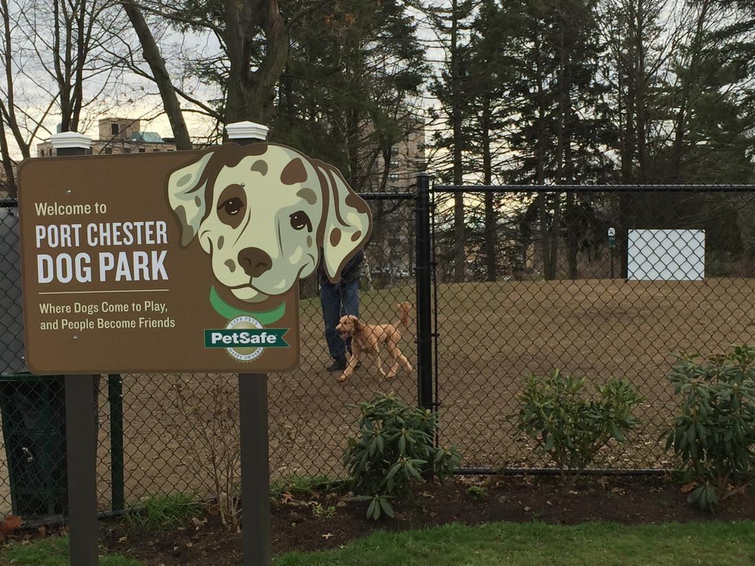 Best Dog Parks in Westchester