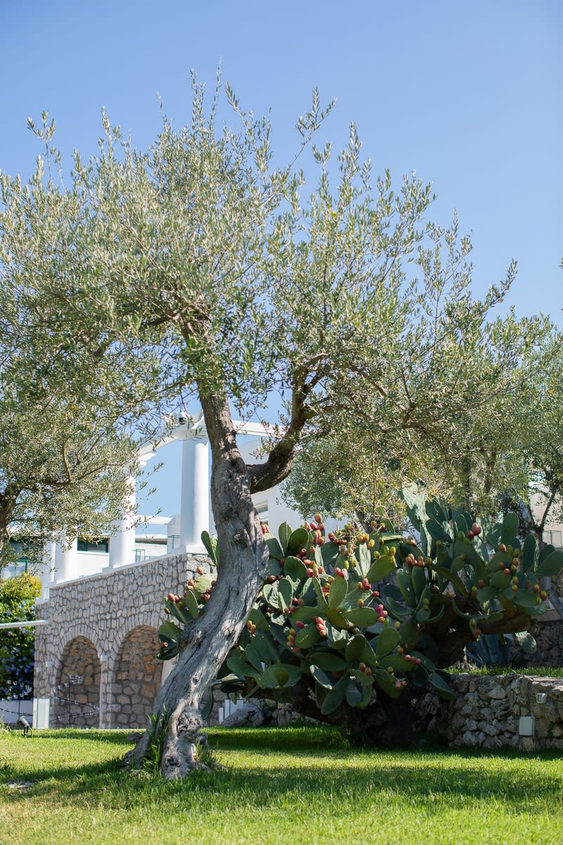 Anacapri