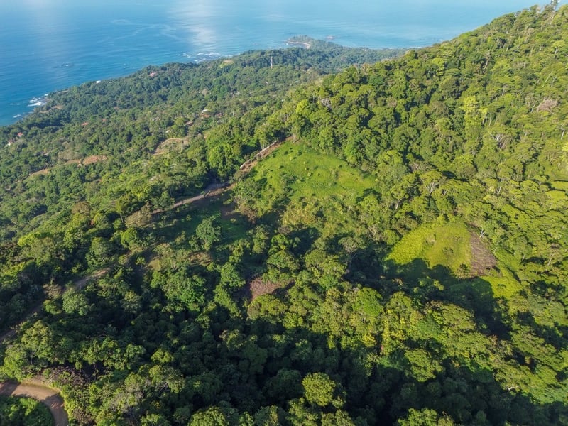 55 acre Escaleras Mountain Ocean View Private Farm.