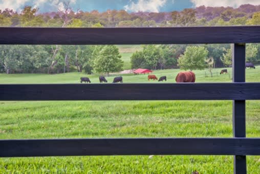 11625 FM 2447 Chappell Hill, Tx 77426