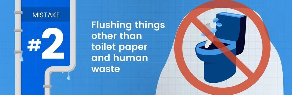 Plumbing tip graphic warning against flushing anything but toilet paper and human waste.