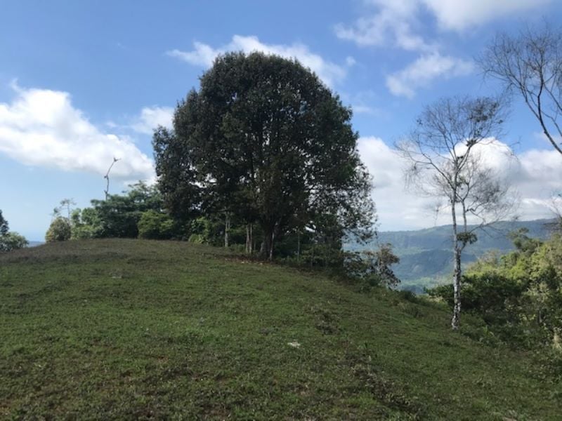 Spring Fed Ocean View Acreage, Uvita, Puntarenas