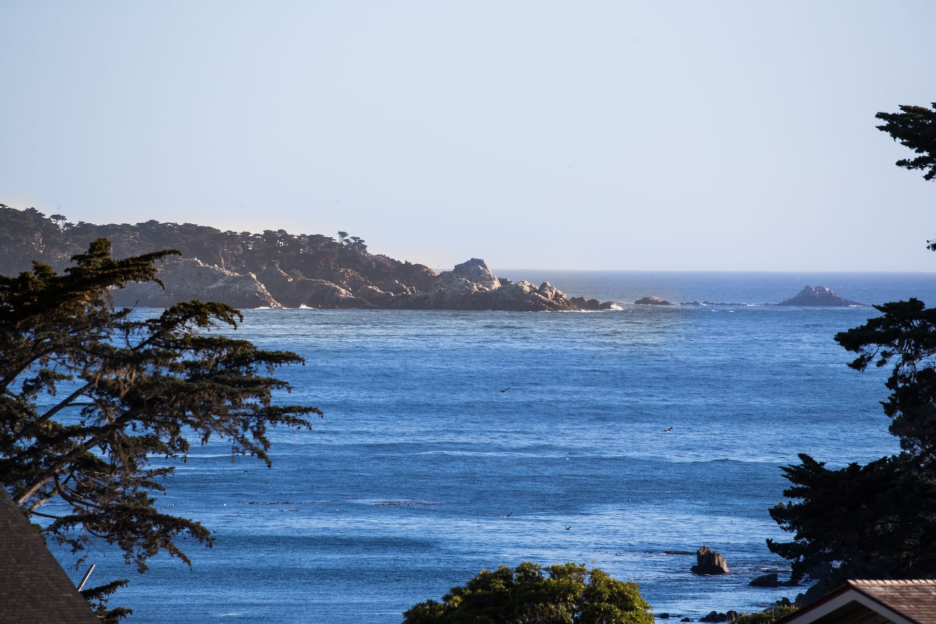 Live at the Lodge - 3301 17 Mile Drive