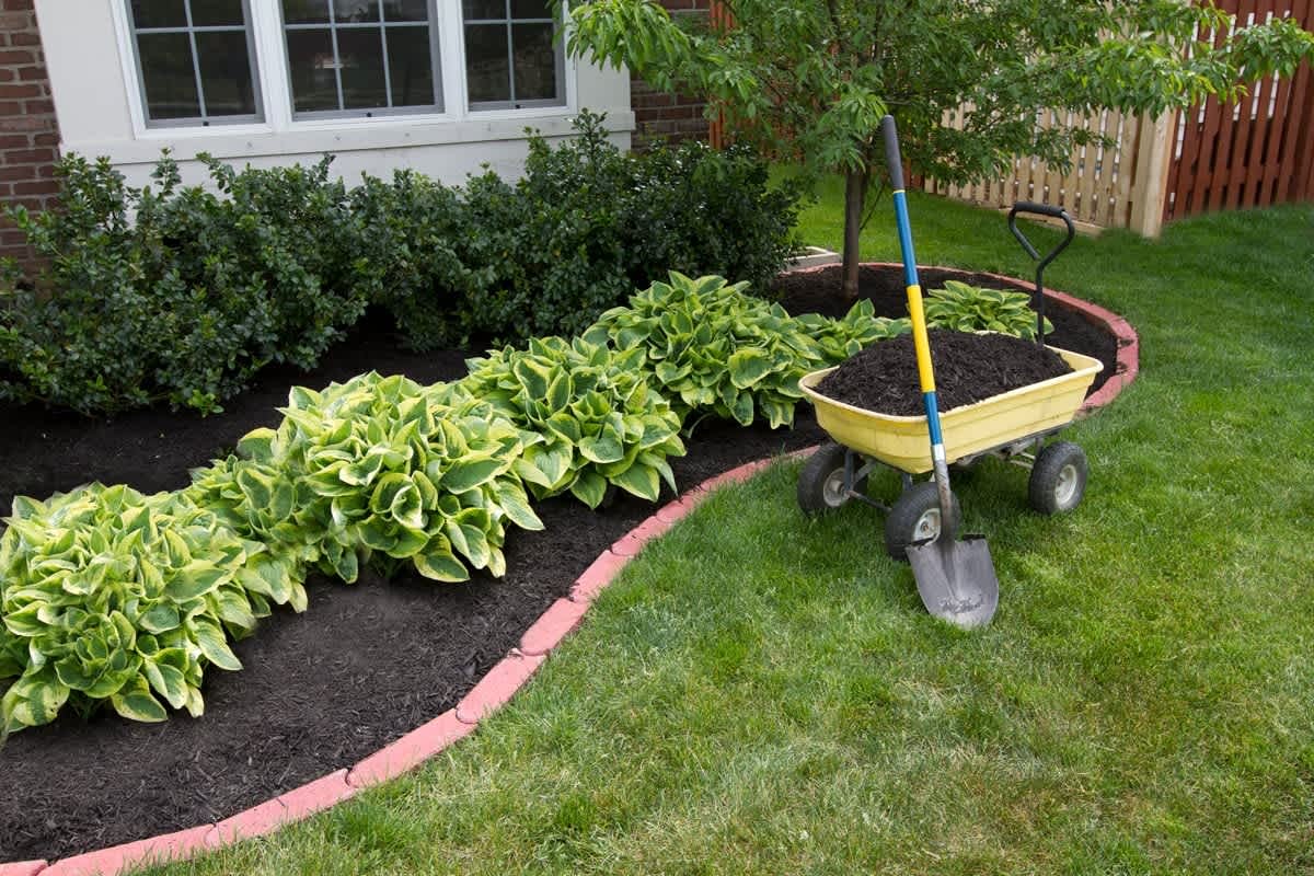 mulch