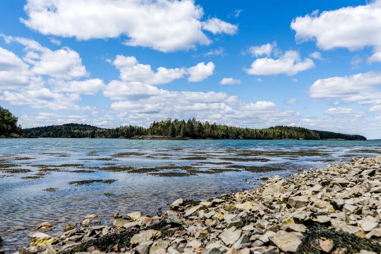 New Waterfront Land Listing! 44A & 46A Off Spring Brook Lane, Lubec, Maine – $550,000