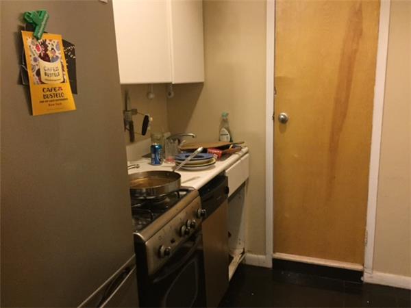166 Elizabeth Street, Apt GB