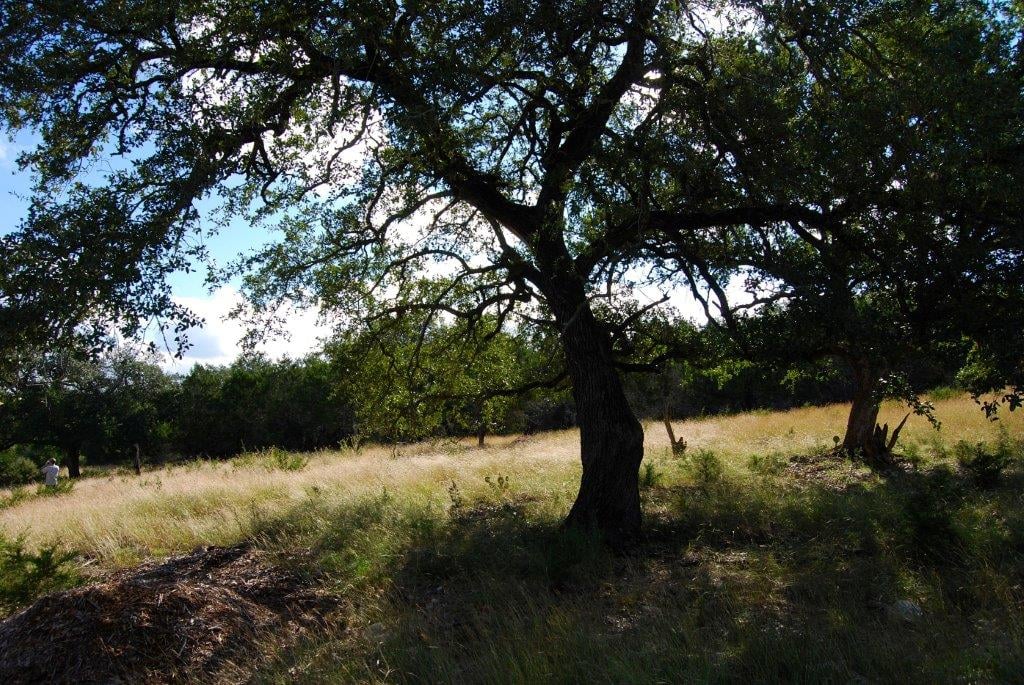 Cordillera Ranch
