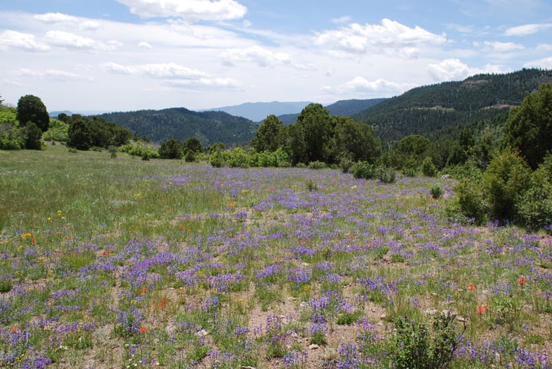 Elk Mountain Ranch