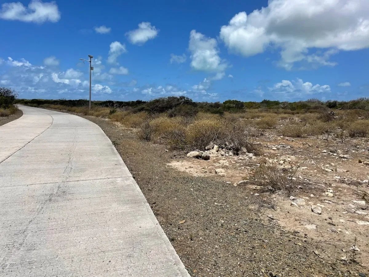 Anegada Land 