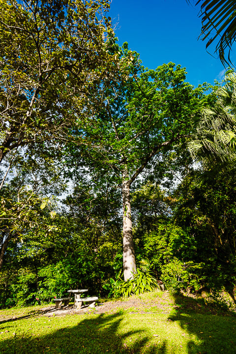 Tropical Ocean View Estate, Tamarindo, Guanacaste