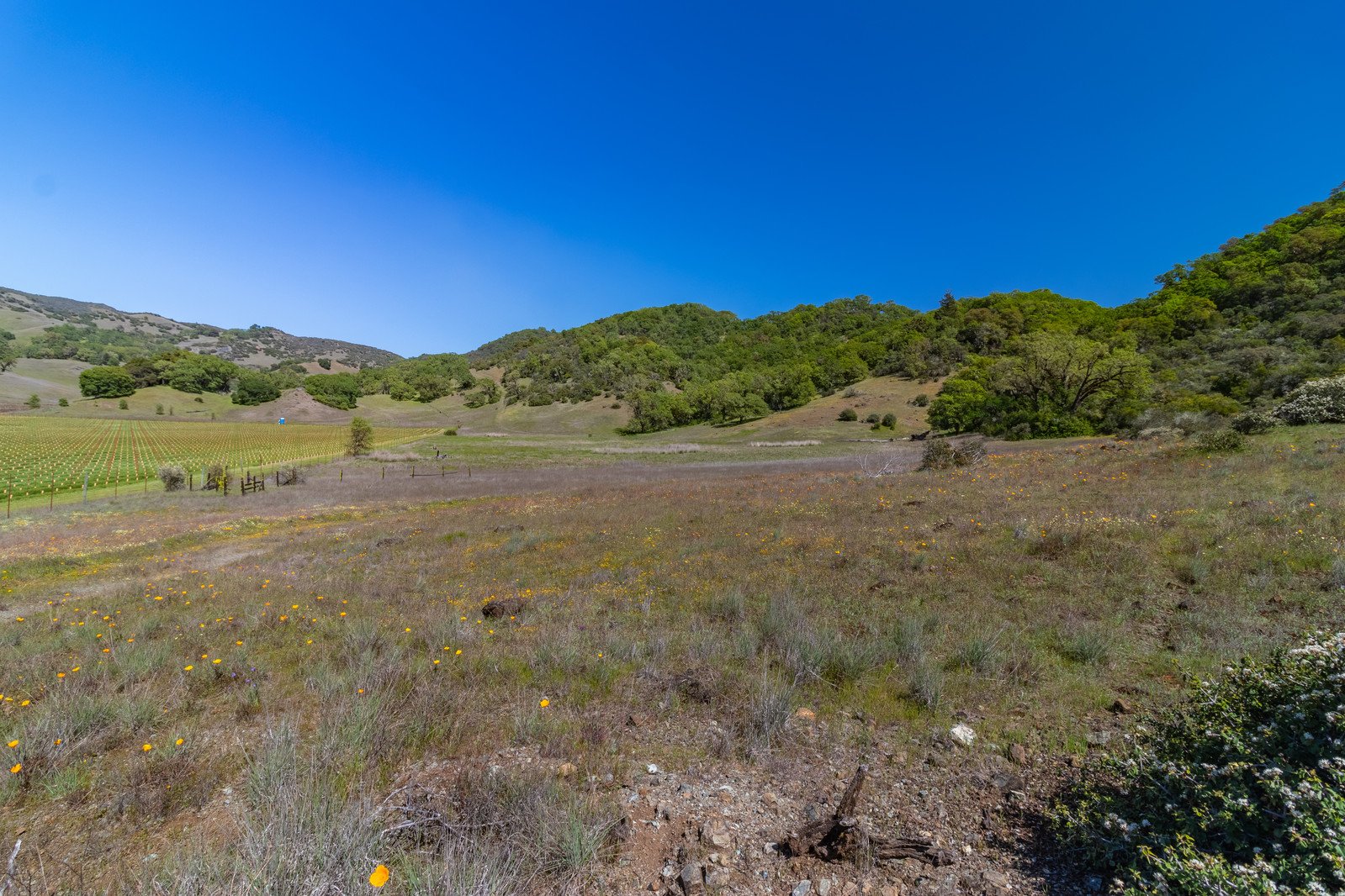 2800 Feliz Creek Rd.