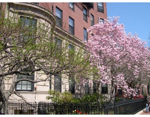 343 Commonwealth Avenue U: 21
