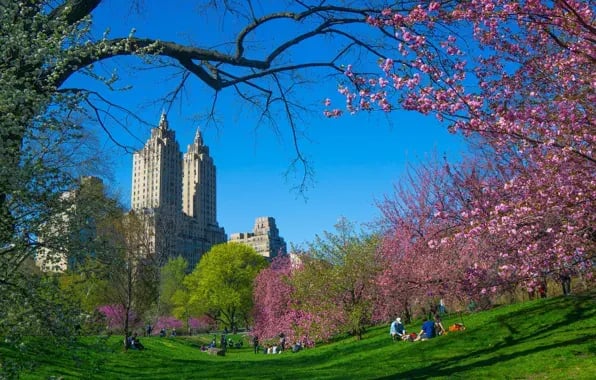 Manhattan Luxury Report: April 29, 2024 - May 5, 2024