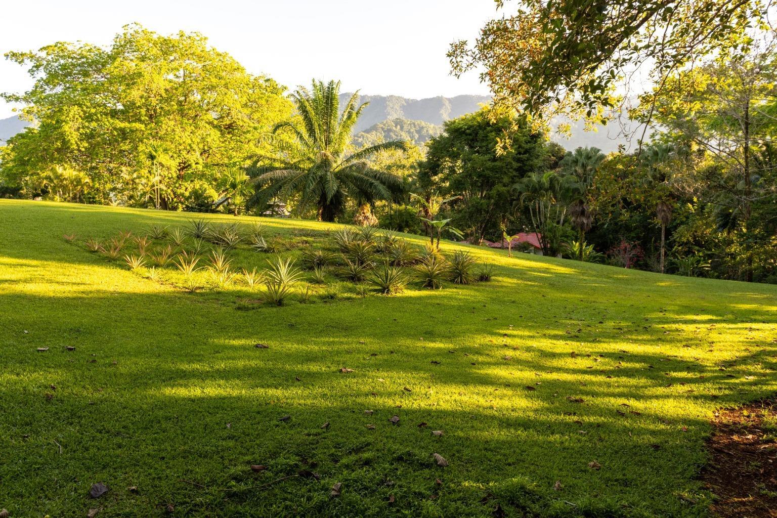 Stunning Estate in Ojochal with Ocean, Mountain & Valley Views