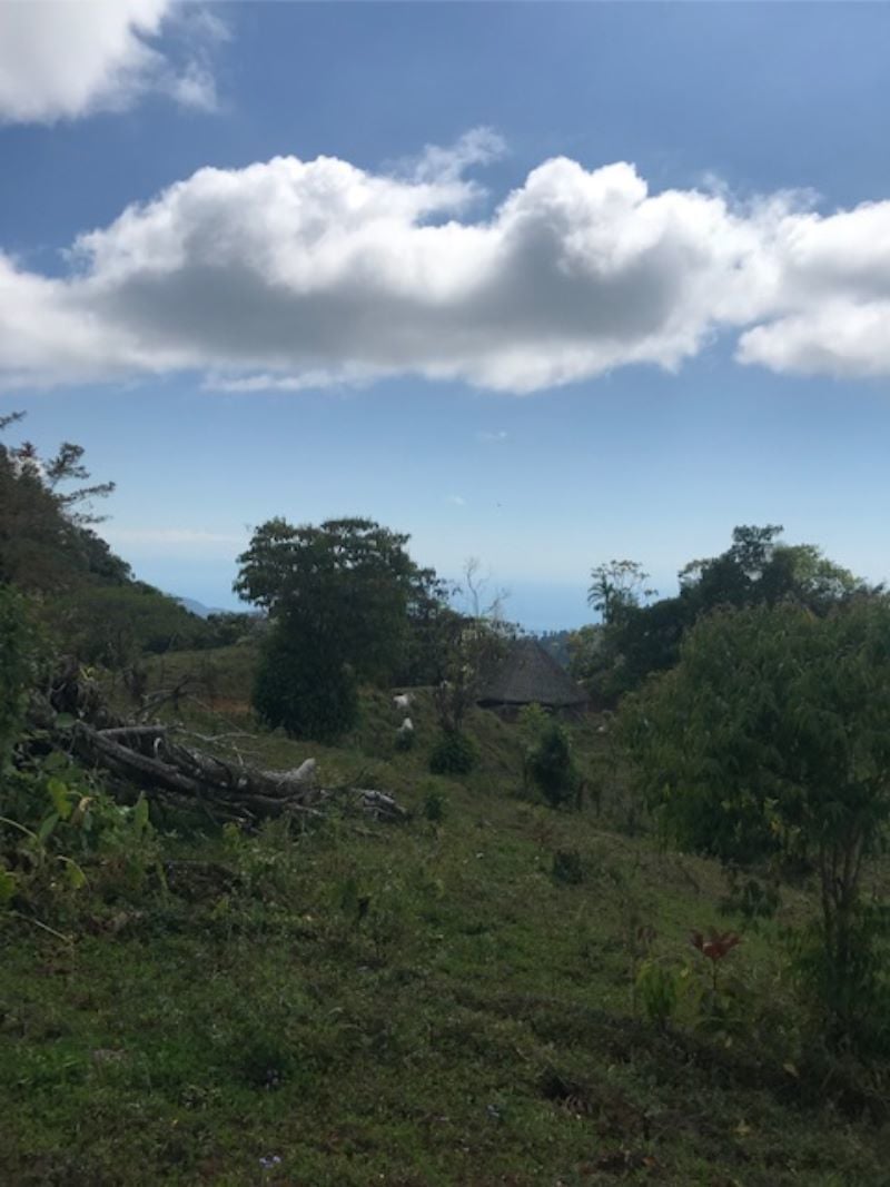 Spring Fed Ocean View Acreage, Uvita, Puntarenas