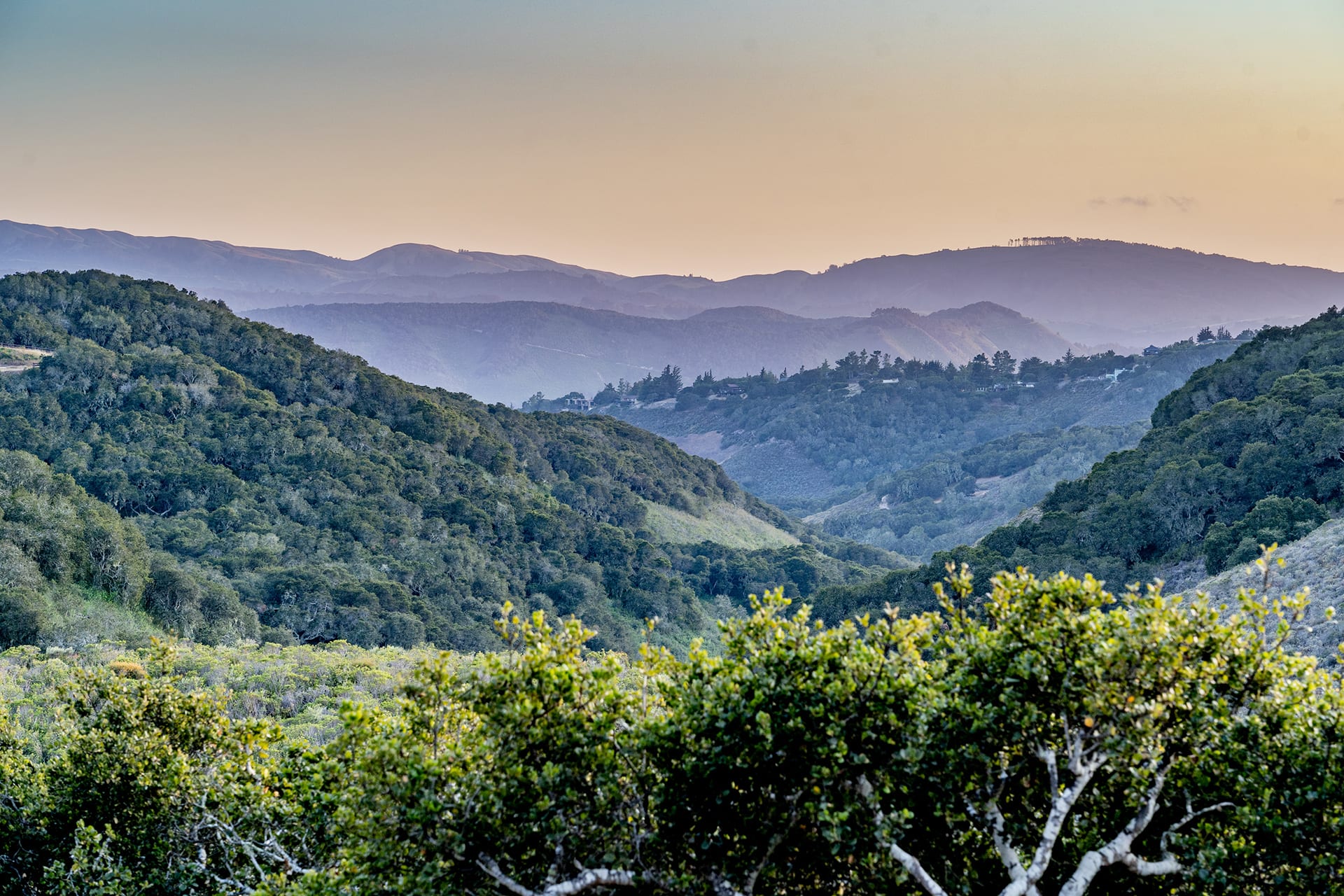 11430 Saddle Road - Monterey Masterpiece