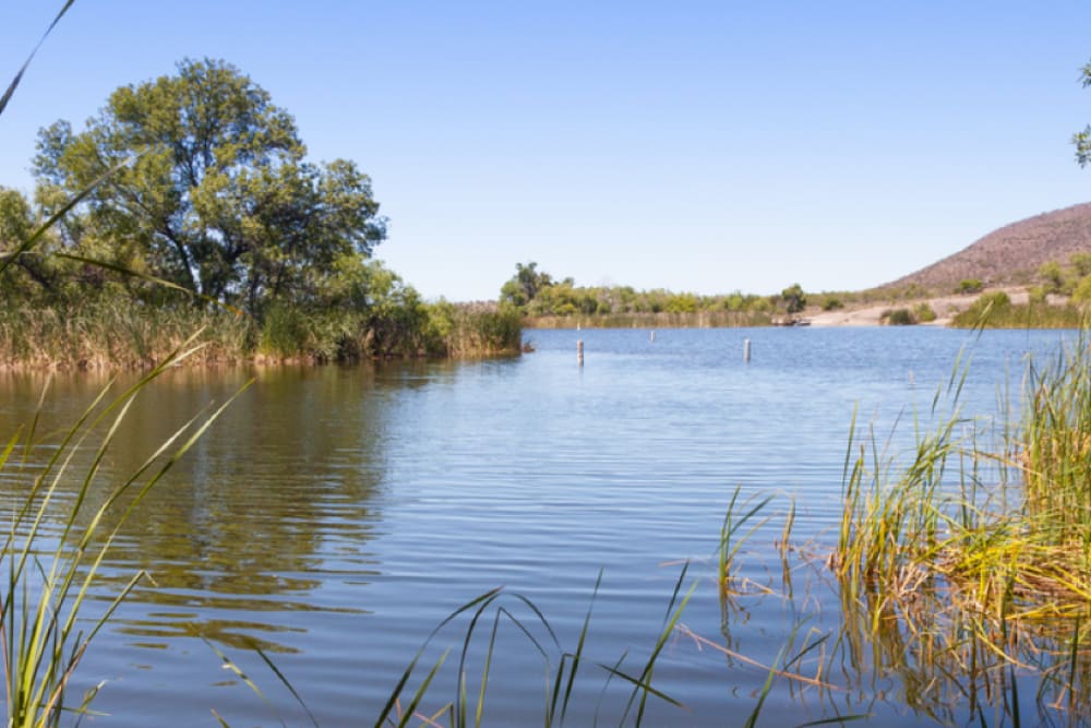 Grab Your Sunscreen - It’s Time to Go Boating!