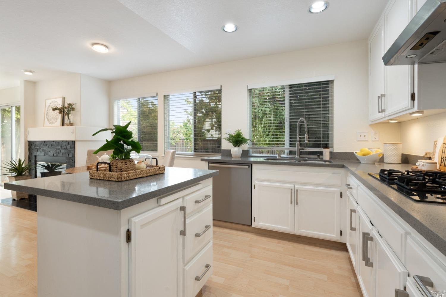 1710 Silverado Cir Petaluma CA 94954