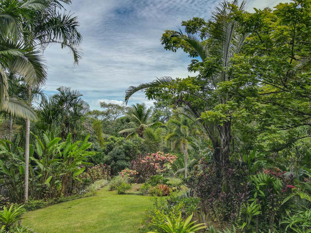 3 Bedroom Home With Stunning Ocean & Jungle Views - 18.94 Acres