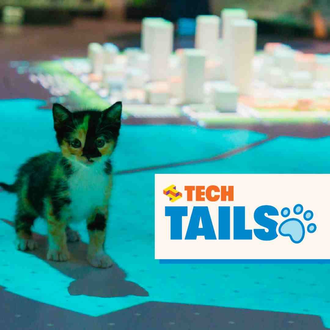 Mini Cat Town's Kitten Adoption Pop-Up at The Tech