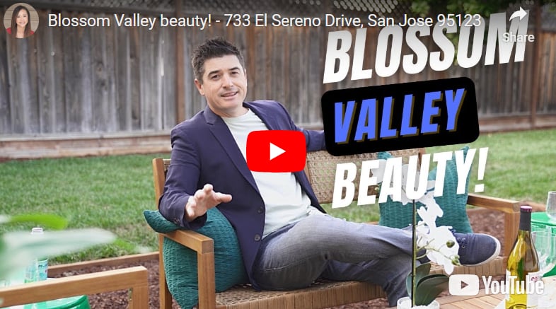 Blossom Valley beauty! - 733 El Sereno Drive, San Jose 95123
