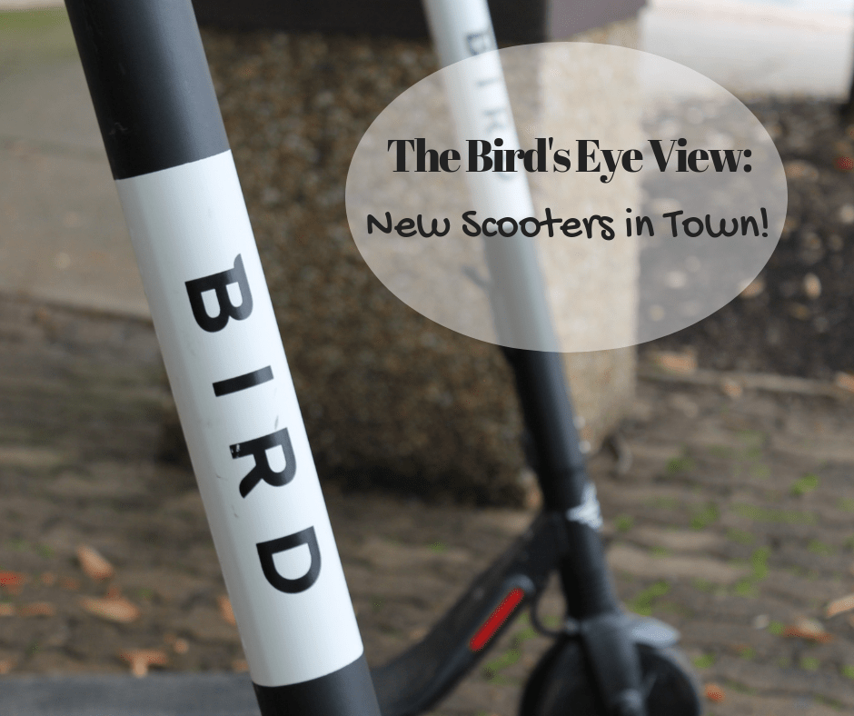 The Bird’s Eye View: New Bird Scooters in Town!