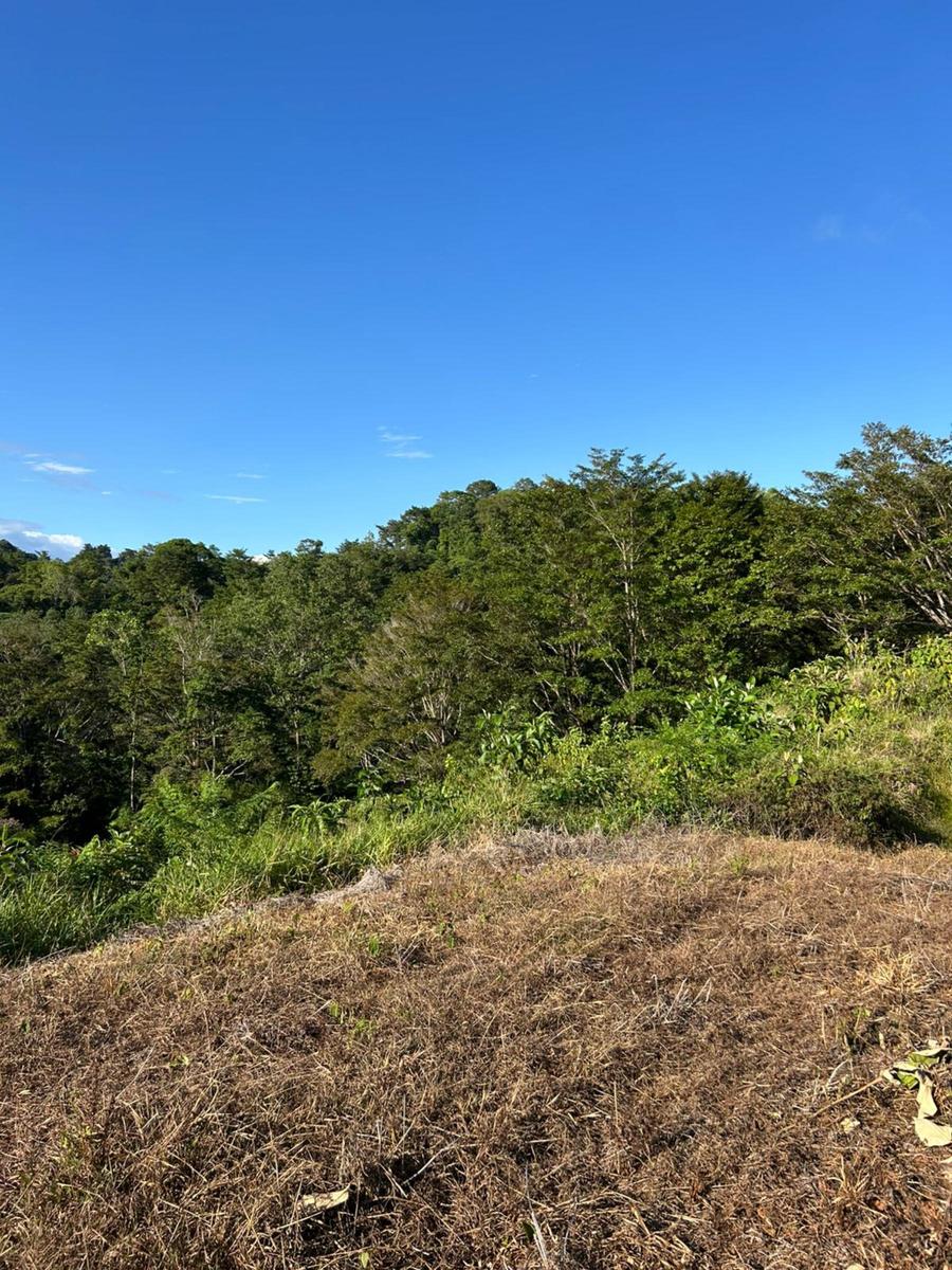 Waterfall Eco Development Land, Osa, Puntarenas