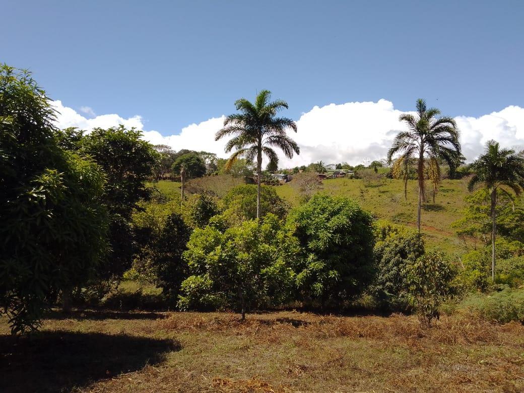 Mountain Fruit Farm Lagoon, Perez Zeledon, San Jose