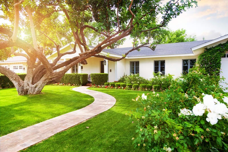 Why You Should Invest in Your Yard