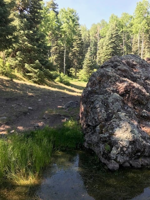 Southern Colorado Riverfront Mountain Ranch