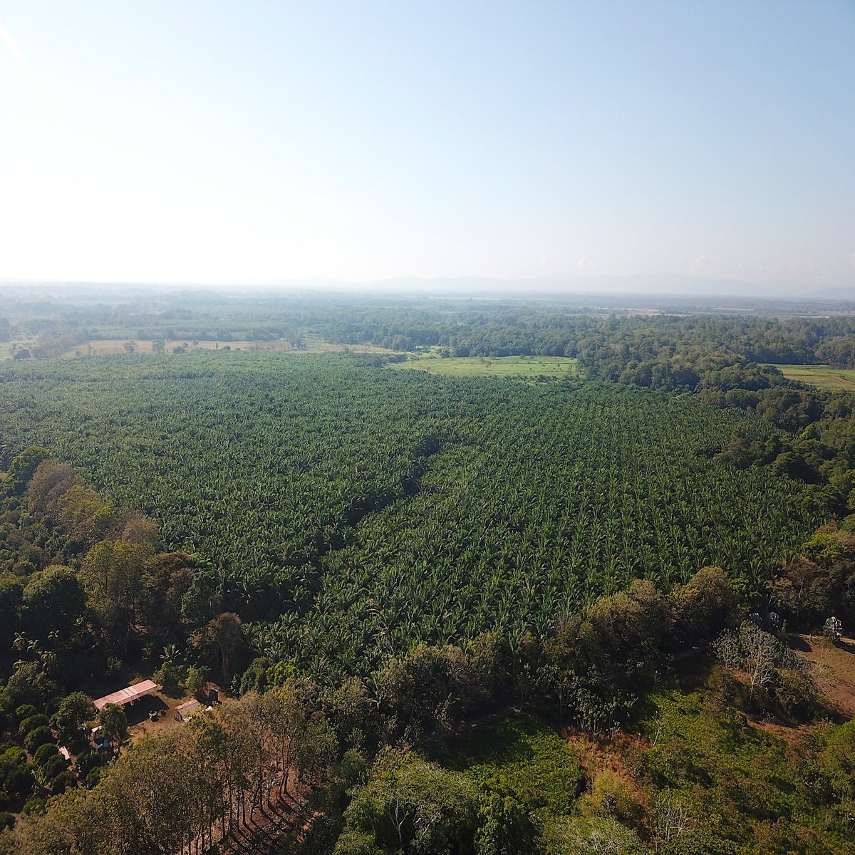 Flat Commercial Development Land, Dominical, Puntarenas