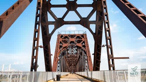 Nesty Zoom Backgrounds