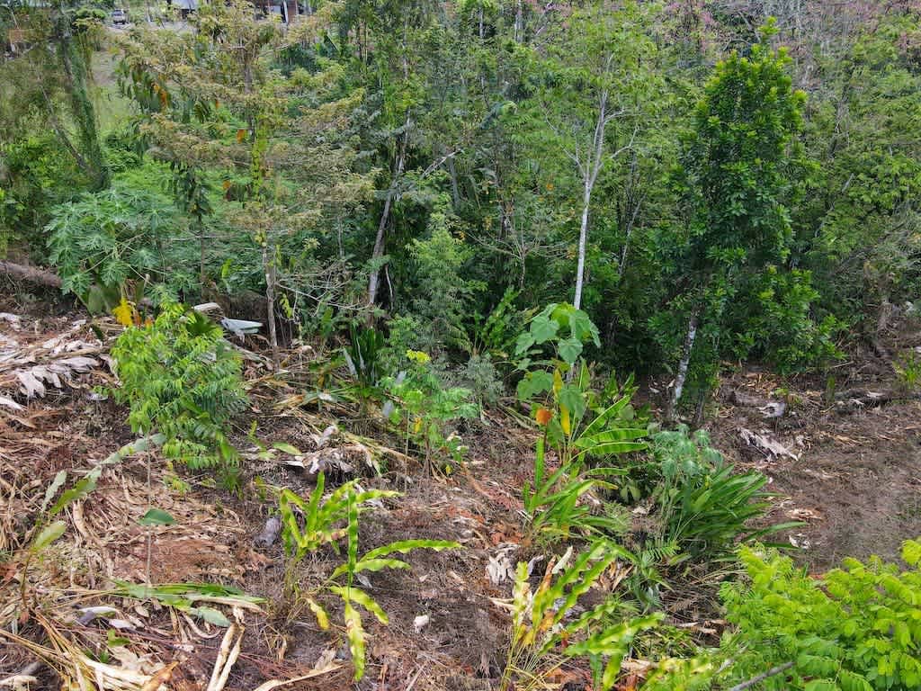PRICED TO SELL – BEAUTIFUL MOUNTAIN VIEW LOT WITH RIVER ACCESS – 3.04 ACRES
