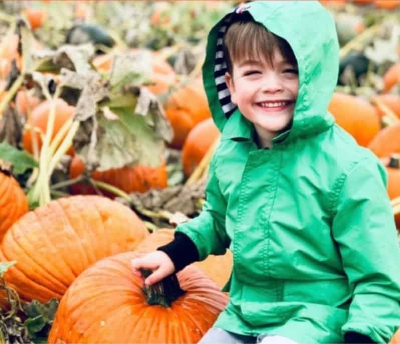 Bay Area Pumpkin Patch Locations