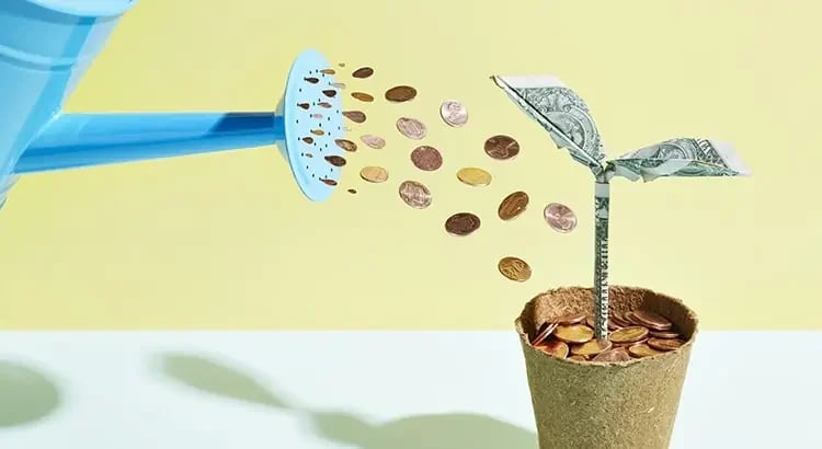 A watering can pouring coins onto a small plant in a pot, symbolizing financial growth, investment, or savings.