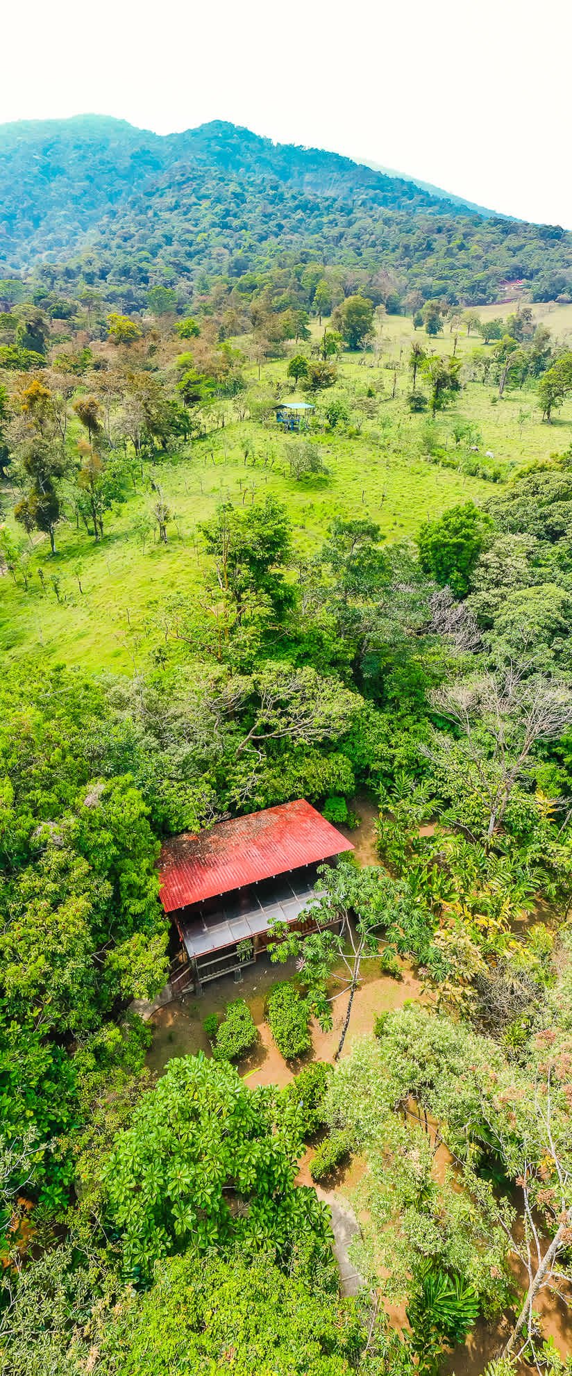 Casitas Tenorio B&B | Turnkey Eco-Lodge in Bijagua, Profitable Business, Sustainable Luxury, and Breathtaking Nature