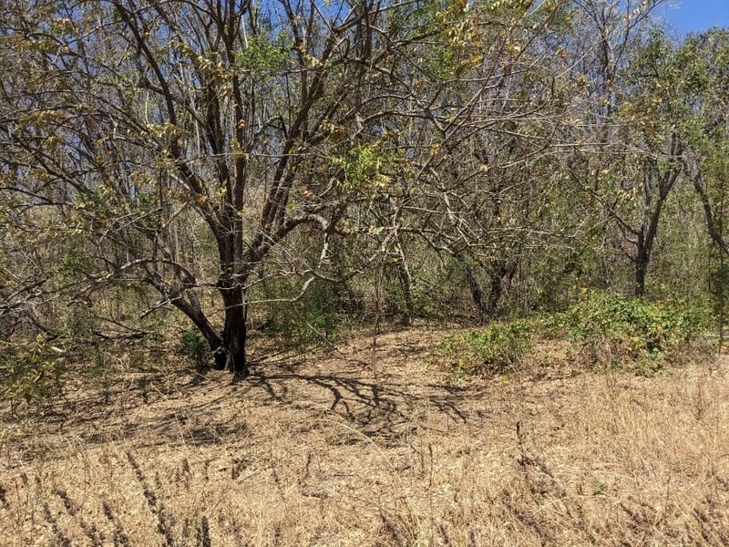 Ocean View Development Land, Tamarindo, Guanacaste