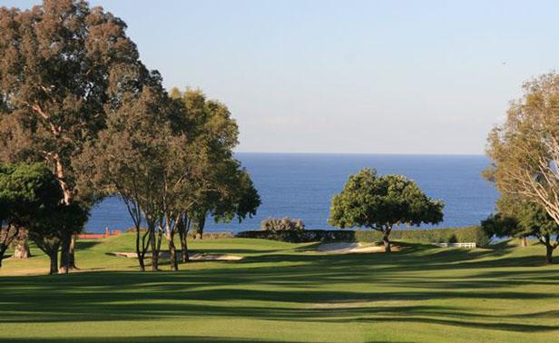 Green trees and green grass with an ocean view at the Country Club golf course