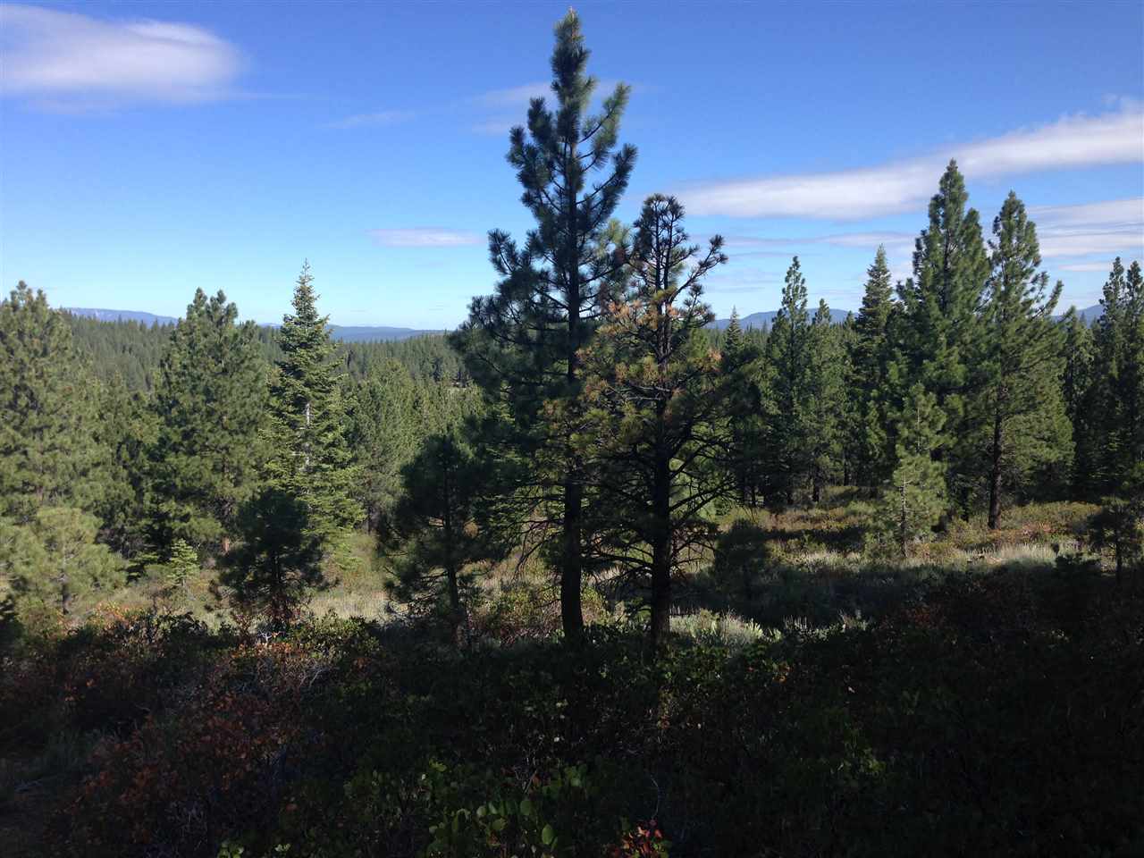 18433 Arcturus Reach Truckee Ca