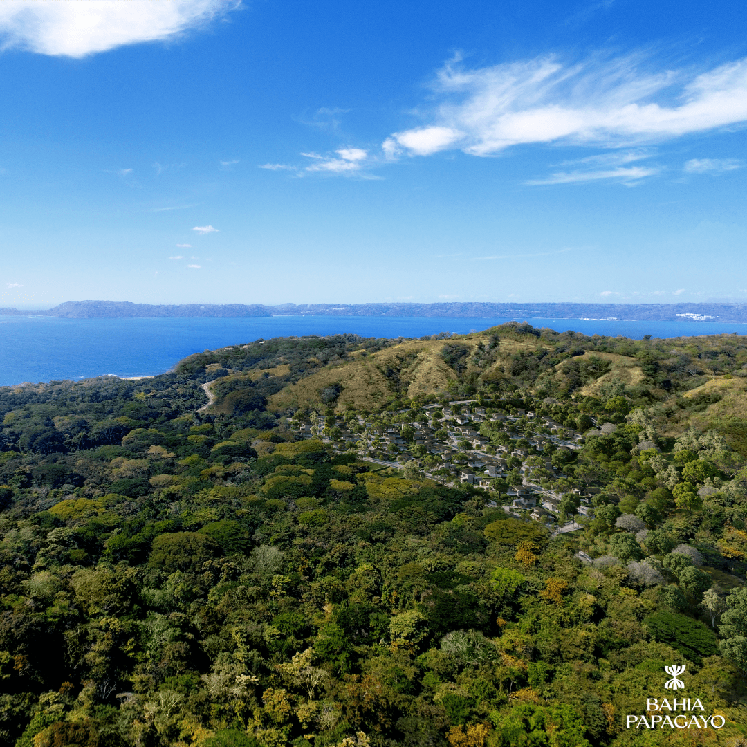 Welcome to Bahía Papagayo | A New Era of Coastal Living!