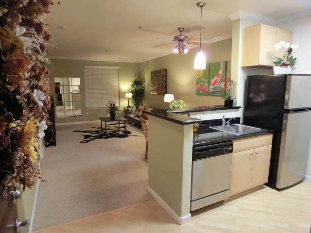801 S Winchester Blvd #4309