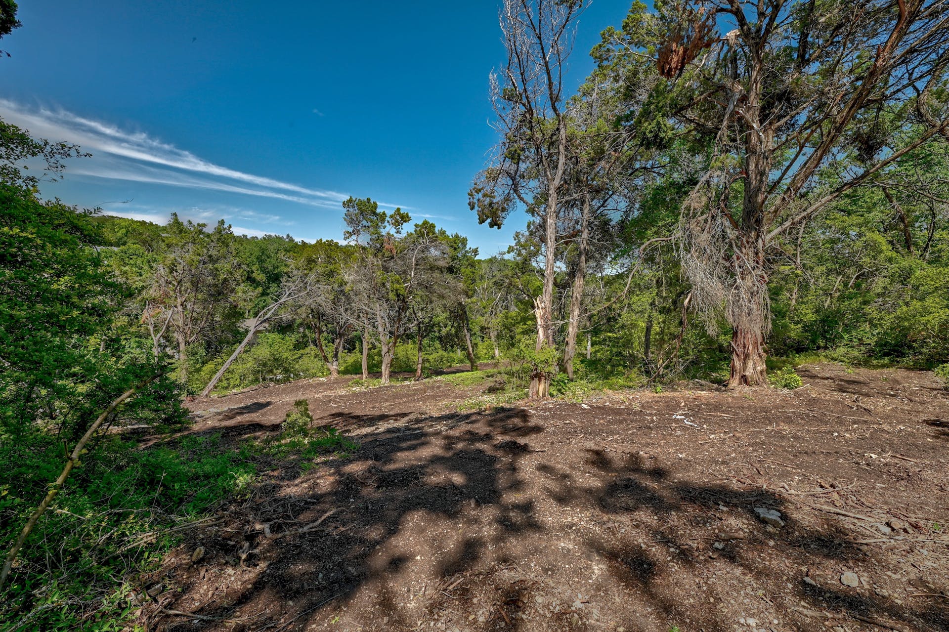 1217 Yaupon Valley Road