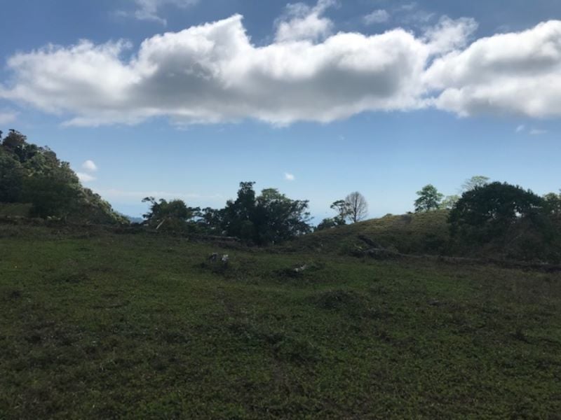 Spring Fed Ocean View Acreage, Uvita, Puntarenas