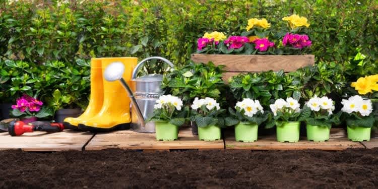 Gardening Tips: Get Your Hands Dirty